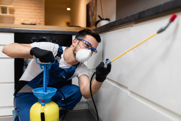 Best Wasp Removal Services  in Pittsburg, CA