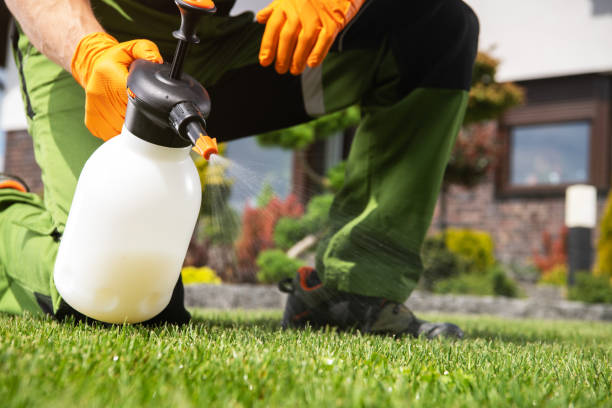 Best Rodent Control Near Me  in Pittsburg, CA