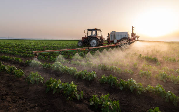 Pest Prevention Services in Pittsburg, CA