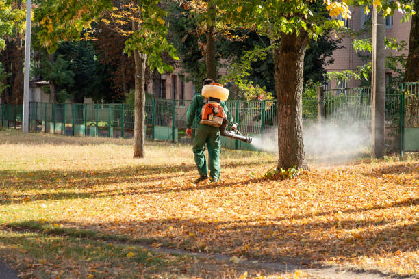 Best Bird Control  in Pittsburg, CA