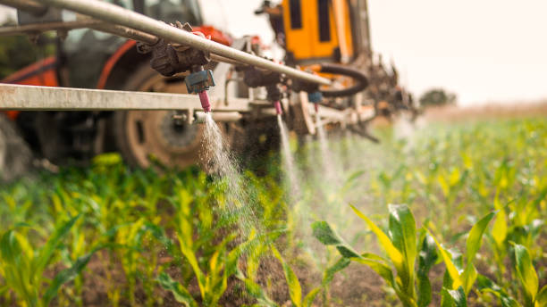 Best Mosquito Control Services  in Pittsburg, CA