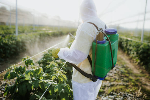 Best Pest Inspection Near Me  in Pittsburg, CA